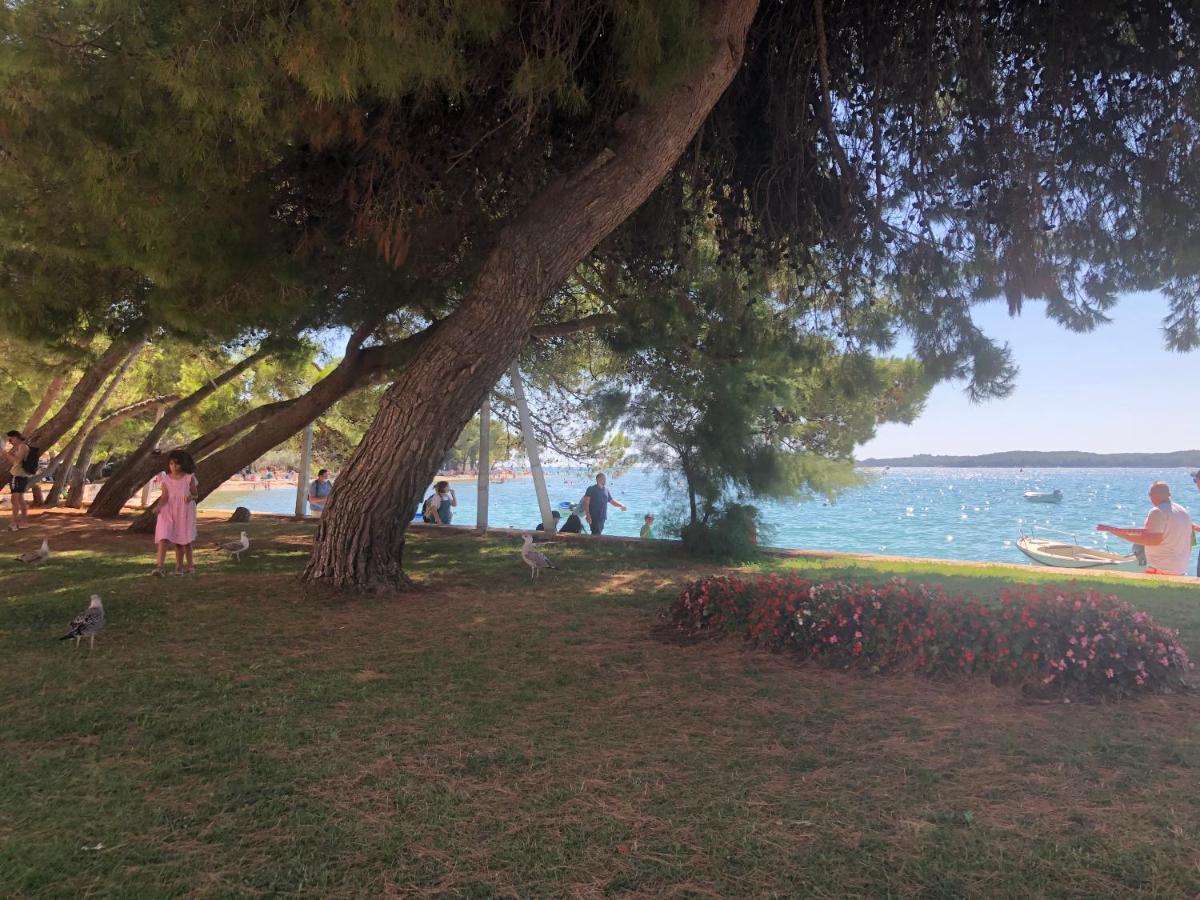 Istrian Stone House In The Heart Of The Beautiful Fishing Village Fazana - Only Few Steps From The Sea And The Wonderful Beach - Incl Plasma-Quad-Plus-Filter Against C O V I D 외부 사진